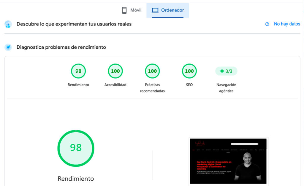 seo-tecnico-performance-rurik-fedrich